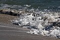 Sea foam Vero Beach, Florida