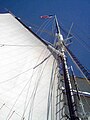 Shenandoah's sails