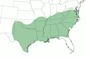 Approximate extent of Southern American English, based on multiple dialect studies Southern dialect map.png