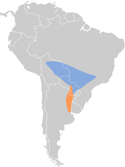 Distribución geográfica del semillero culirrufo