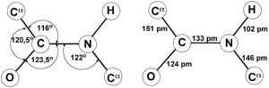 Trans-Peptide Bond.png