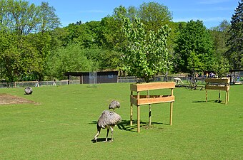 05/2020 Vogelpark in Schotten, VB 24
