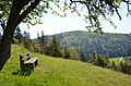 Wacholderheide Heimberg