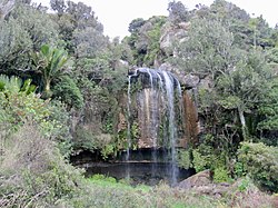 Waikapakapa Stream waterfall, Waikaretu