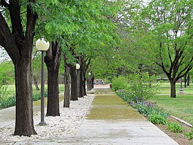Walkway outside Golden Library at Eastern New Mexico University