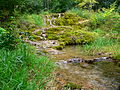 Sinterterrassen in Weißenbrunn vorm Wald