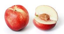 White nectarines, whole and cut open White nectarine and cross section02 edit.jpg