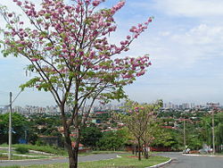 Logradouro no bairro, em 2009.