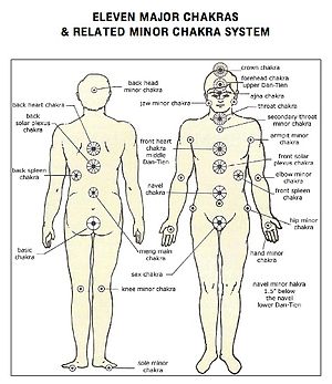 A description of the major chakras and minor c...