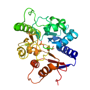 A Trypanosoma brucei 6-foszfoglükonsavval komplexált 6-foszfoglükonolaktonáza[1]