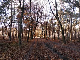 Lembeekse bossen