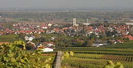 Bodenheim – Veduta