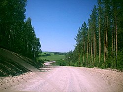 Road in Buzdyaksky District