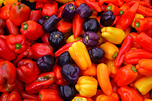 Capsicum annuum cultivars