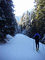 Im Winter dient der nördliche Teil der Strecke (Cortina–Toblach) als Langlaufloipe, hier bei Toblach