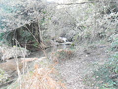 La rivière au niveau de l'abbaye de Florièyes