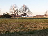 Grass and a few trees on flat ground, with the Mississippi River in the background