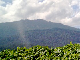 Le Gunung Ledang vu depuis la route.