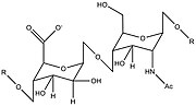 Pienoiskuva sivulle Heparaanisulfaatti
