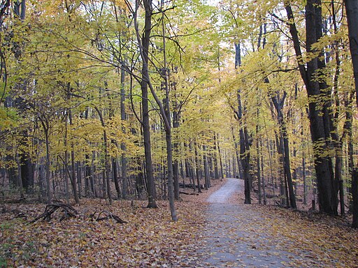 Hudson Springs Park Trail in November