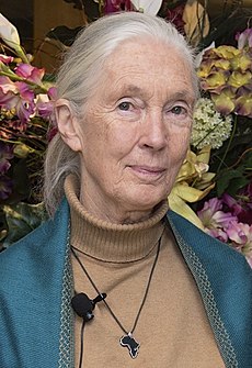 Jane Goodallová