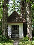 Winterlinde (Tilia cordata)