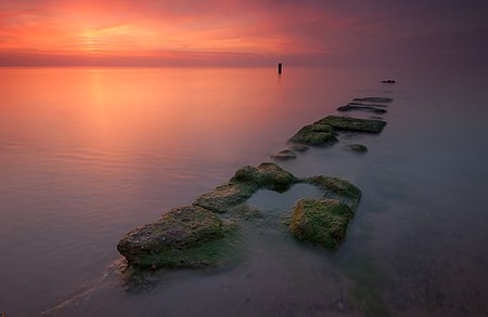 5. wyróżnienie Kamienny falochron w Sarbinowie, obszar specjalnej ochrony ptaków Zatoka Pomorska (fot. Łukasz Śmigasiewicz)