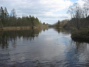 Koiva jõgi 2008. a. mahlakuun. Kurjakätt Eesti, häädkätt Läti.