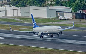 Boeing 737-800BCF de Copa Air Cargo aterrizando en el aeropuerto