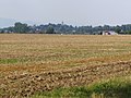 View of Malčice from the south