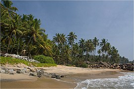 Plage sur la côte de Malabar au Kerala.