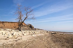 Coast of the Sea of Azov in Neklinovsky District