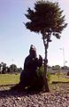 Mylodon, un tipo de perezoso gigante (escultura hubicada en el Parque Pleistocénico de Osorno.)