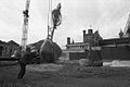 Magnolia trees being moved for the Enid A. Haupt Garden