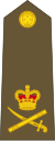 New Zealand-Army-OF-8.svg