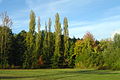 Le parc de l’université Paris-Sud.