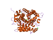 2g4k: Cấu trúc dị thường của ADP-ribosylhydrolase 3 người