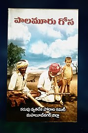 Palamur gosa.book cover.jpeg2