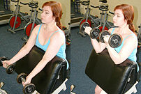 The biceps curl is sometimes performed on the ...
