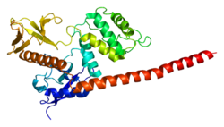 Protein MSN PDB 1e5w.png