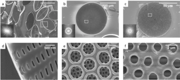 SEM images of pores in diatom frustules.webp