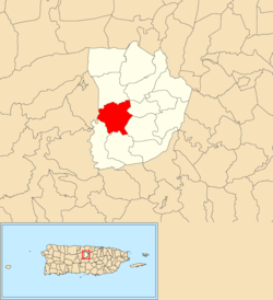 Location of San Lorenzo within the municipality of Morovis shown in red