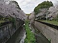 公園内のせきれい橋から上流を望む