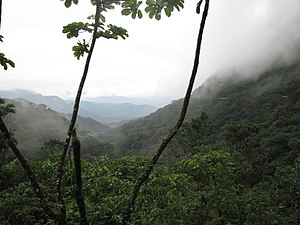 Serra do mar paraná.jpg