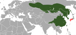 Distribución de la comadreja siberiana (en rojo, zona de introducción)