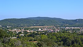 A general view of Saint-Mathieu-de-Tréviers
