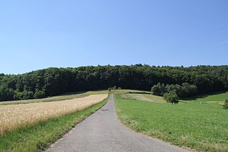 De Stempelhöhe (vo obahoib vo Hohl gseng)