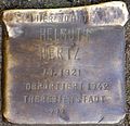 Stolperstein für Helmuth Hertz (Georgstraße 14)