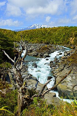 Peřeje Mahuia na říčce Whakapapanui