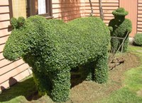 Topiary at Railton, Town of Topiary, Tasmania, Australia